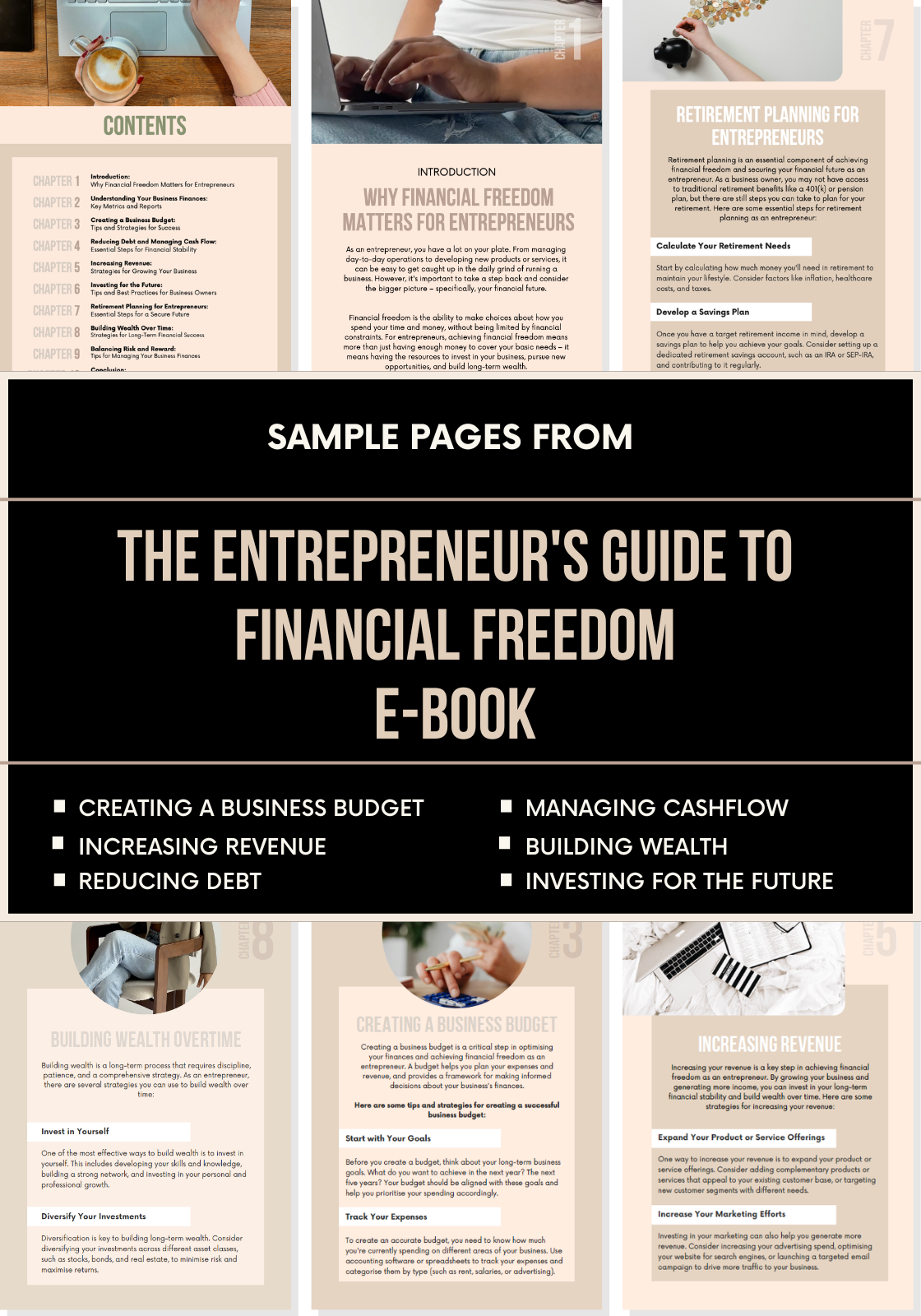 The Entrepreneur's Guide to Financial Freedom