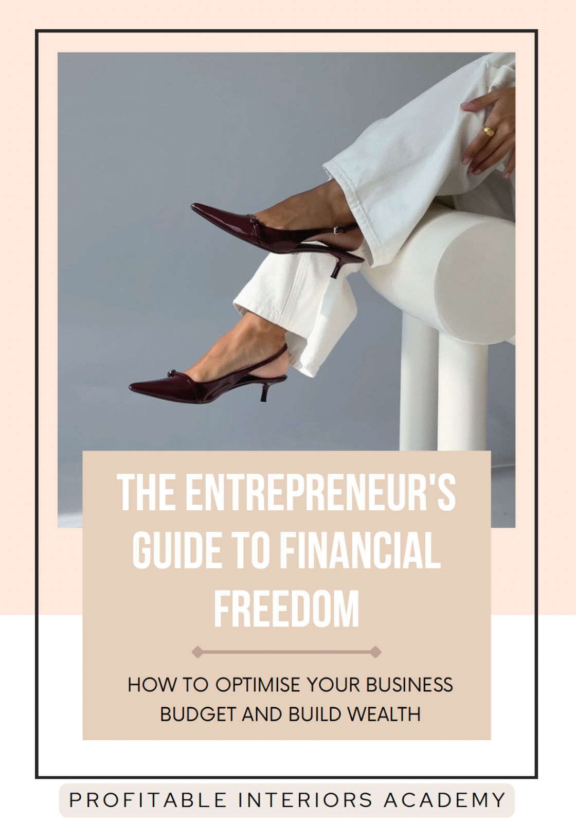 The Entrepreneur's Guide to Financial Freedom