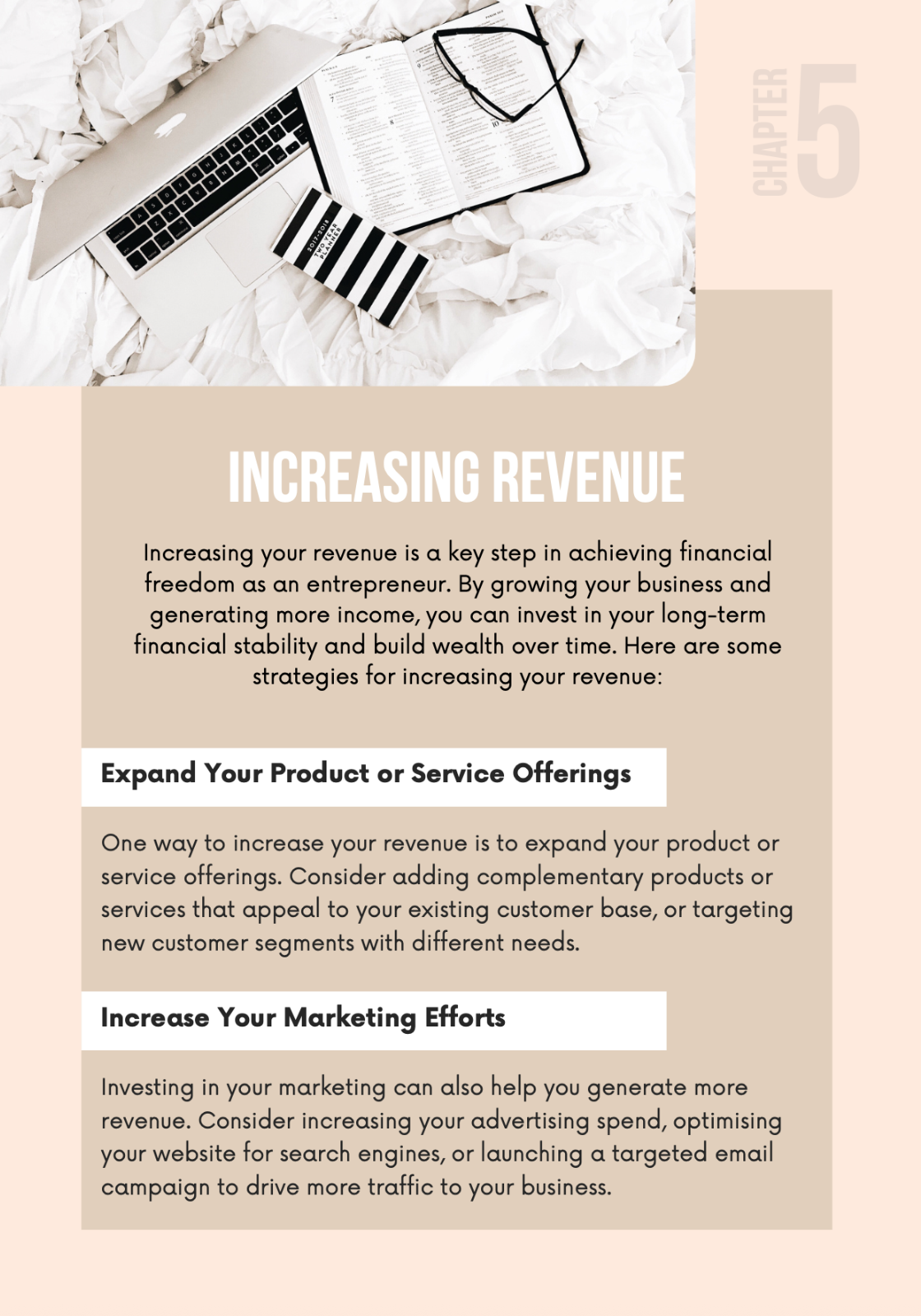 The Entrepreneur's Guide to Financial Freedom